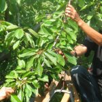 021d887faebb269a4a86de3ccab5198d