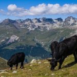 _118908468_gettyimages-1229883184