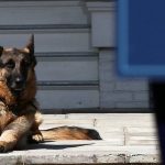 _118990814_gettyimages-144145515