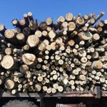 1fe15eec9ecbffc47bc25f7debf2cc50