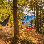 Arkansas_Whitaker_Point_Hammocks