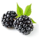 Blackberry with leaf isolated on white.