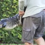 pic_2fb7354afb51367b9131eb7f029a0606