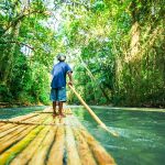 shutterstockRF_1136533652