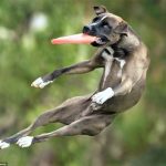 thumb_cmydxl2yy1bxhkybvclxhmdipdyvcqvikhwvbghbrum