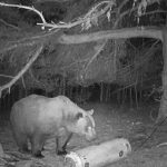 21c1d92bbaf70263d320d0825a092cd1