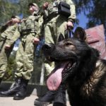 Belarusian-Polish border