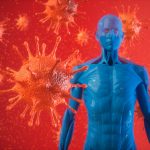 Human Immune System And Virus