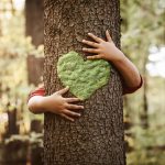 Nature lover, close up of child hands hugging tree with copy space