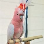 thumb_img-20210703-wa0078