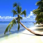 Isla-Saona-min