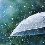istockphoto-1257951336-170667a