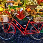 shutterstockRF_535115455
