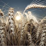 769fef860e43f1e3aa0a6761489bfe2b