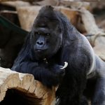 pic_6dfbefe77afb14a3ecf01827d64b0937