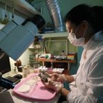 Russia’s underground permafrost seed storage