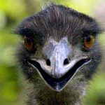 pic_378b7bab0a39b2c3bde277dc2433631d