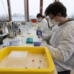 Corona diagnostics laboratory in Ingelheim