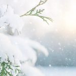 winter-4802136_960_720_2837579947087418248_big