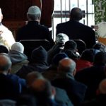 owl_detail_240_3aa595337f83d62a06d6fea932396f6d