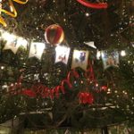 owl_detail_240_4ad69d56b54973bea0a249d35468a8ec