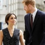 owl_detail_240_4c5869ef3612493c0361b856078c416f