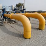 owl_detail_240_5cfa397c28a558995f05c26029c7f7c4