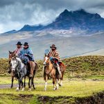 shutterstockRF_1353341069
