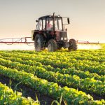 Tractor spraying soybean