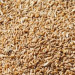 c52d332820846a0a0cf22803724ef164