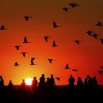 3cba6eac4c6e402292945c7540b18add-3cba6eac4c6e402292945c7540b18add-7e0cb636becb4626b7ddfe3bcb7a8eb1-2a7bc