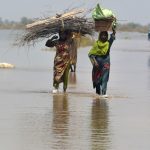 8244bab201614685bd8957dbb81ed44e-8244bab201614685bd8957dbb81ed44e-db5662d77fb348e88a1a58f80e2f3209-3808a