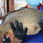 02aeca29875da64eda55ca45df8bdb93