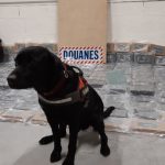 40960724-7B65-495A-BAAE-43EC6DFFD1E8