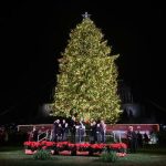 a20cd6ff646e242ccaffd71659751340