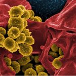 d3dc10cbf24eefa4cba998e93d363aad