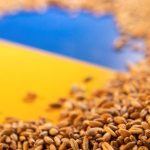 7465100caf2e38567a5386f9b1d1694b