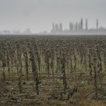 e784878a10ff476fa50e9394c7d2d102-e784878a10ff476fa50e9394c7d2d102-fe932a250fd94618afd4da6064265044-56aa2