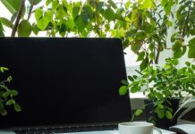 Какви са ползите от цветята на работното място?