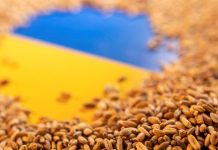 САЩ виждат признаци на интерес от Русия към нови преговори за зърнената сделка