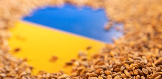 САЩ виждат признаци на интерес от Русия към нови преговори за зърнената сделка