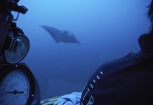 Сейшелските острови въвеждат туристическа такса, за да насърчат опазването на природата