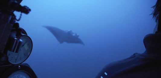 Сейшелските острови въвеждат туристическа такса, за да насърчат опазването на природата