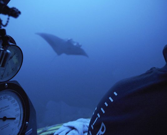 Сейшелските острови въвеждат туристическа такса, за да насърчат опазването на природата