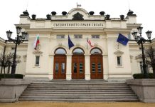 Правната комисия в НС обсъжда по-строги наказания за домашно насилие