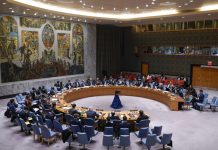 Мали и Буркина Фасо призоваха Съвета за сигурност на ООН да не допуска военна интервенция в Нигер