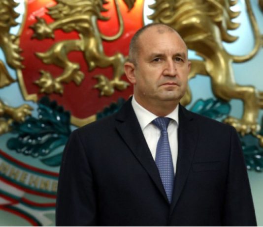 Президентът сезира Конституционния съд заради прекратената концесия на пристанище „Росенец“