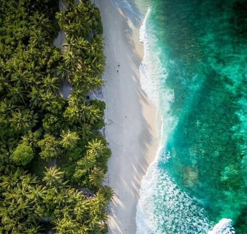 Отвъд луксозните курорти и туризма: Малдивите „се учат“ на устойчив растеж и опазване на природните ресурси