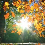 94b31cda83dfc8d79575952b44f21e91