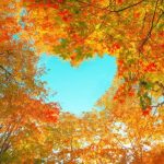 shutterstock_1816260440